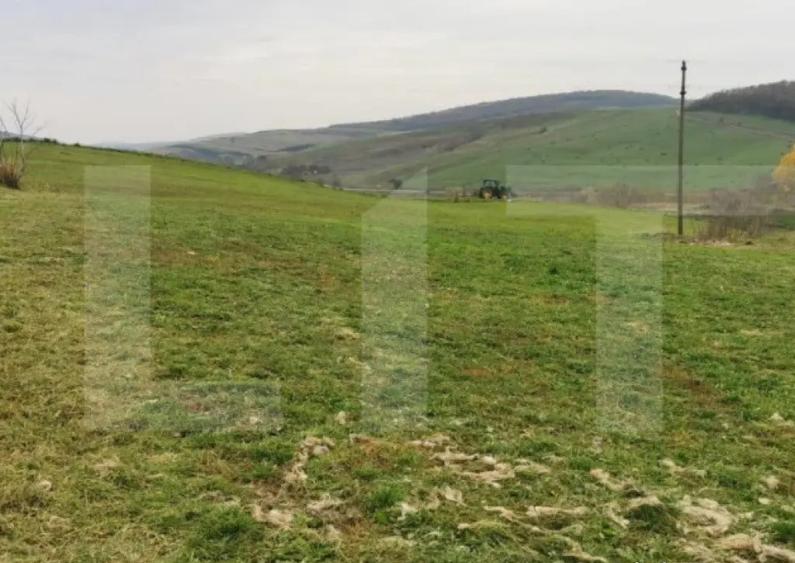 Investitie ! Casa individuala 1 camera, 51 mp, 3000 mp teren - 2