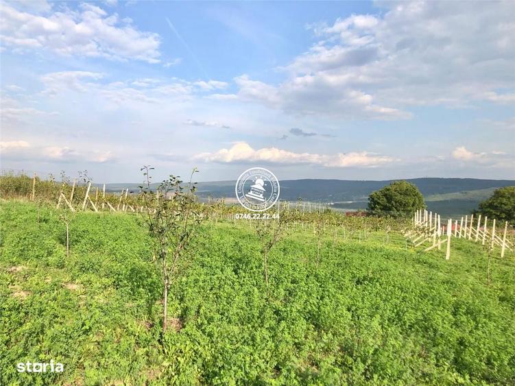 Teren pentru constructii case de vanzare Iasi, Mogosesti, - 4