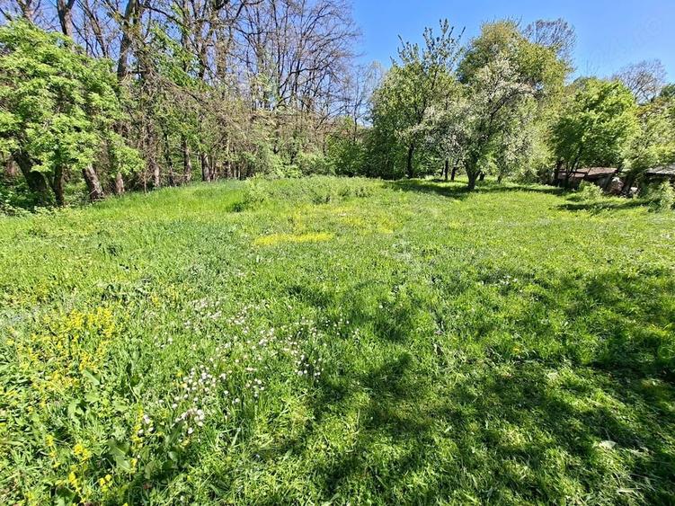 Oaza de lini?te ?i natura pura | Teren de vanzare in Runcu - Dobri?a, Gorj - 4