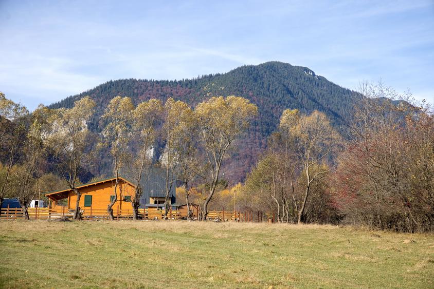 Teren intravilan 5723mp Zarnesti Tohanita- case de vacanta,investitie in turism - 11