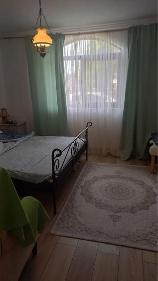 Vand casa, Odoreu - 10 minute de mall Satu Mare - 8