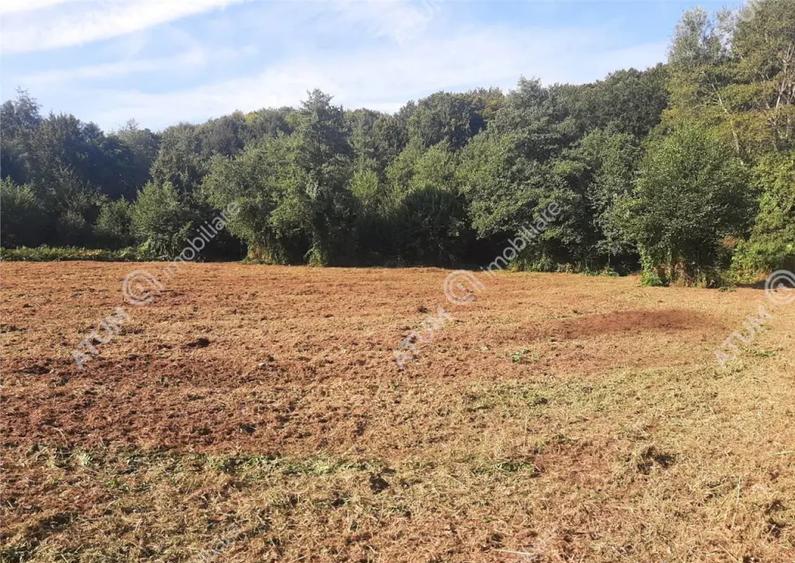 Teren intravilan de 1856 mp in Avrig zona Valea Avrigului - 3