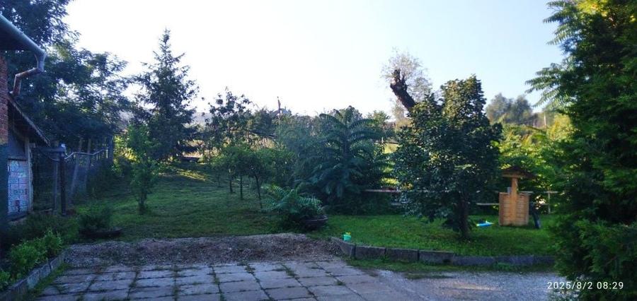 Vand casa cu 4,80 ha in Viisoara - 1