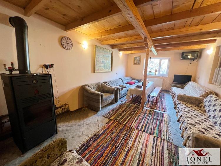 Casa de vacanta cu balta de peste de vanzare in Glogovet (Valea Lunga) - Blaj - 6