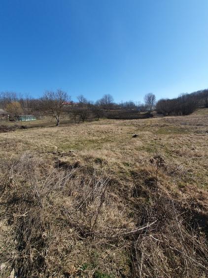 Teren intravilan - 6000 mp - Vaculesti  - 3