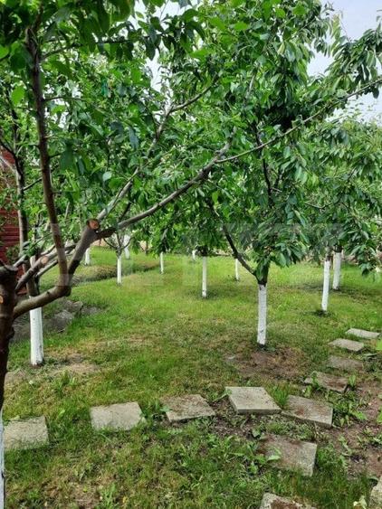 Casa de vanzare in Bogata de Mures - 5