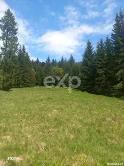 De vanzare teren intravilan, 4000 mp, in Com. Dorna Arini, Jud. Suceav - 1