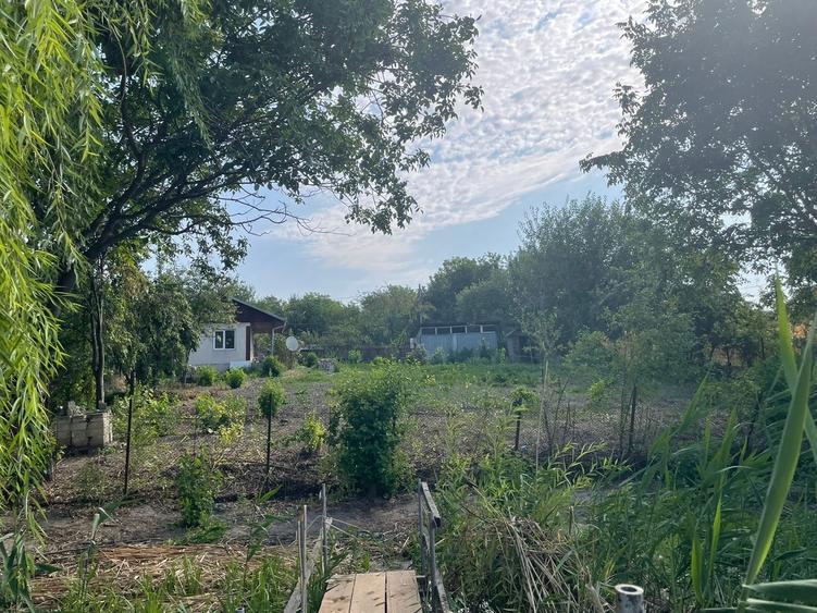 Dragoesti, jud Ialomita - 10