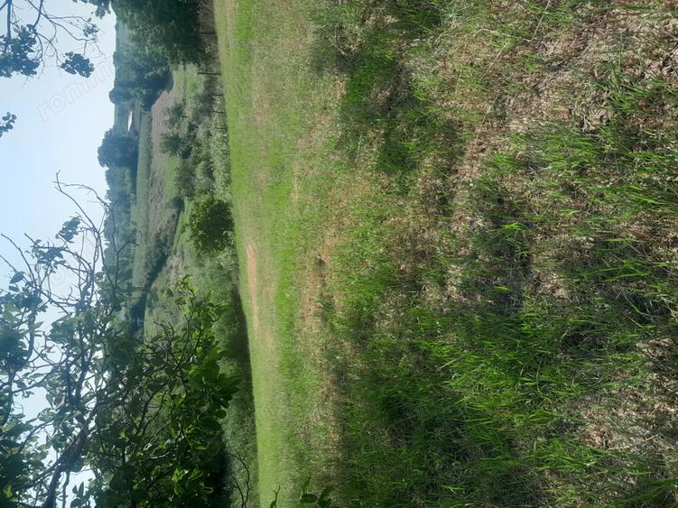 De vanzare Casa ?i teren in Gorbanesti - 2