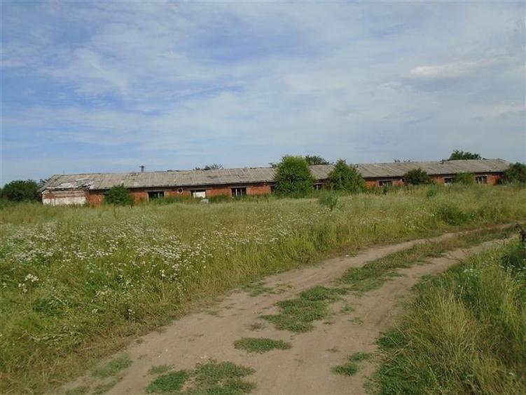 Pentru DEZVOLTATORI si INVESTITORI! Teren intravilan, 15.000 mp, Micalaca - 6