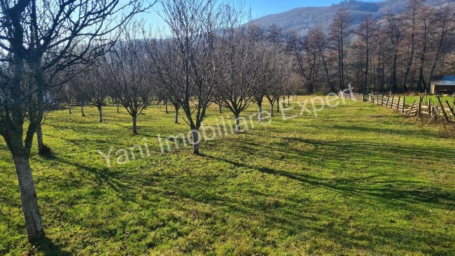 Teren de vanzare in comuna Corbi, jude? Arge?. - 5