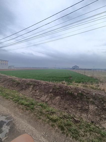 Teren de vanzare fantana mare suceava - 1