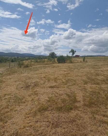 De vanzare teren extravilan in Valea Crisului - 4