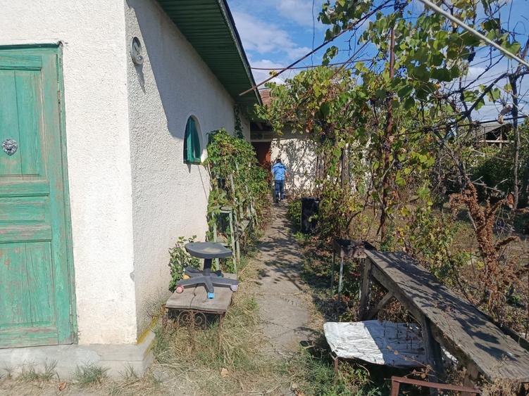 Casă de vânzare în Bilciurești, teren 1171mp, zonă liniștită, ideală pentru fami - 4