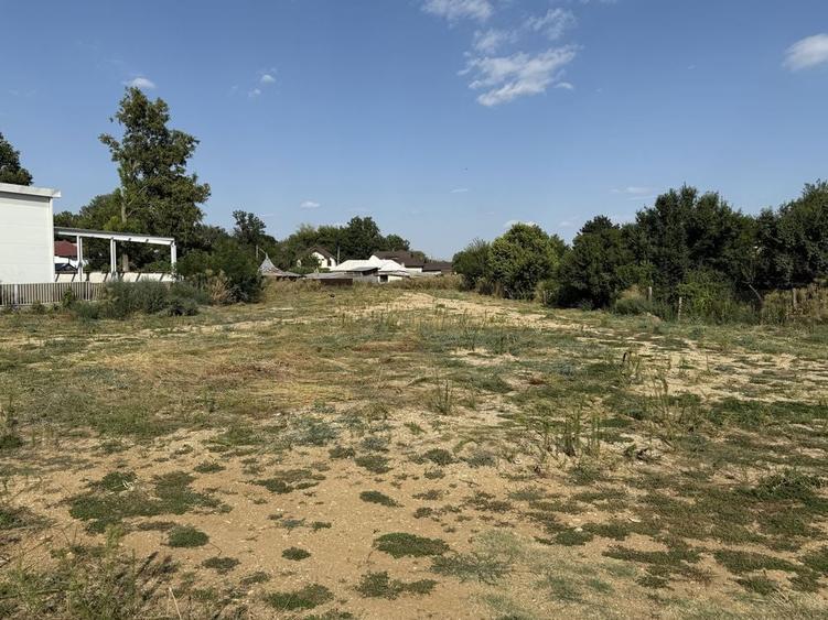 Teren intravilan de vanzare 4805 mp - 3