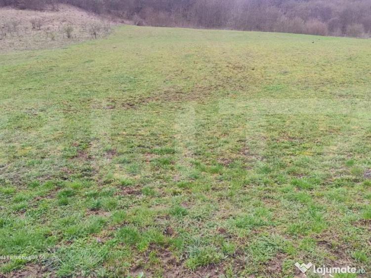 Teren superb 2.500 mp in Nicula lini?te, natura ?i p - 3