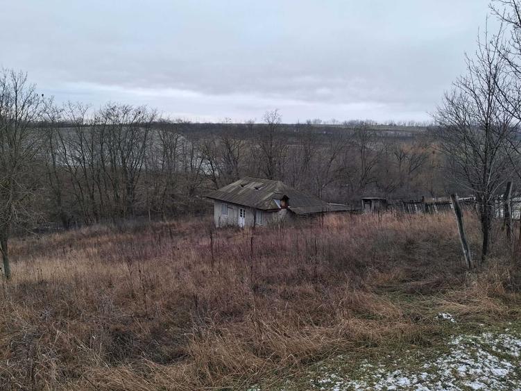 2 terenuri si casa de vanzare - 4