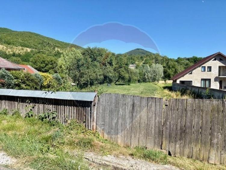 Teren 3,154mp Barsana / Intrarea principala - 2