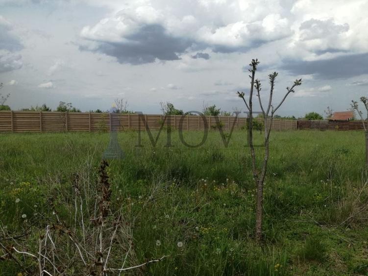 Teren pe malul Lacului Buftea - Crevedia - 13