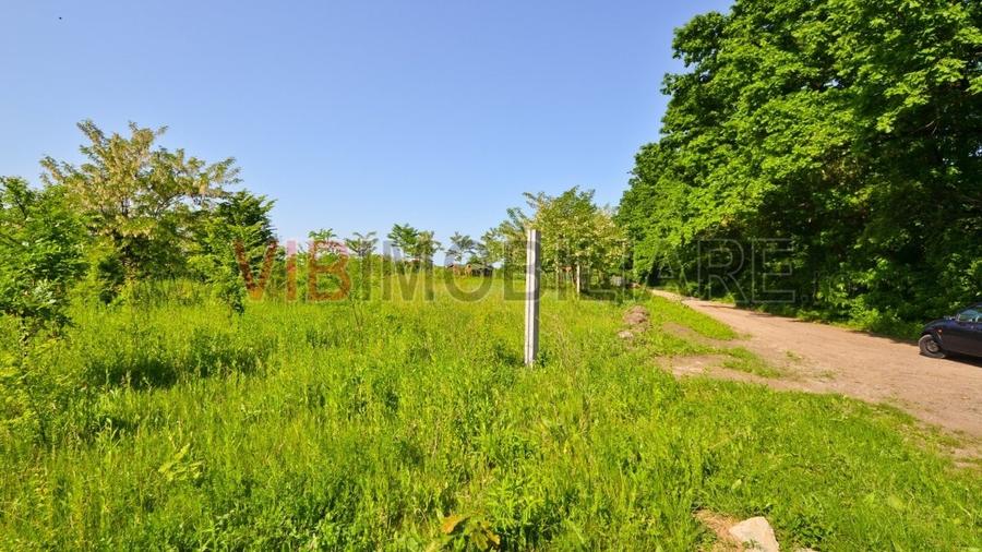 Teren intravilan situat in zona Padurea Baneasa - 4