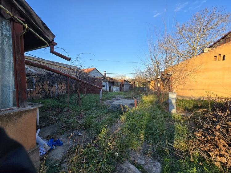 Fratelia- Casa si teren- 1438 mp - 20