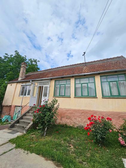 Casa de vanzare cu gradina si curte mare in orasul Lipova, jud.Arad. - 2