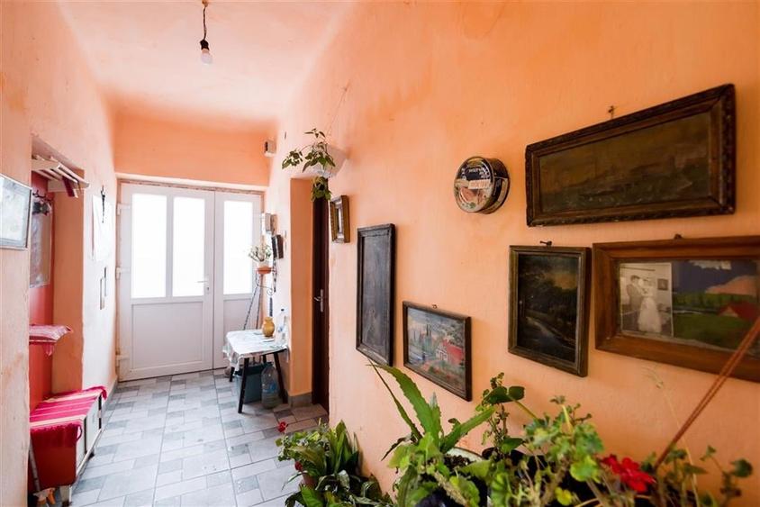 RECO teren cu casa de vaioaga - 12