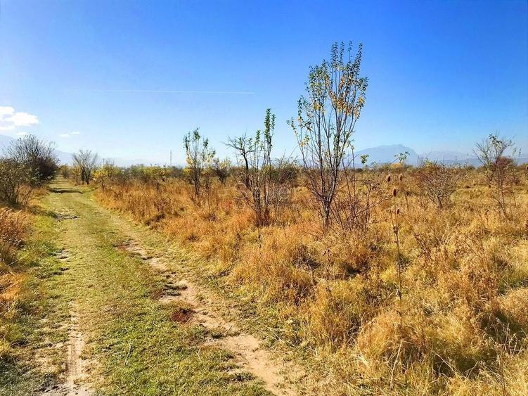 Teren investitie Ghimbav - 2