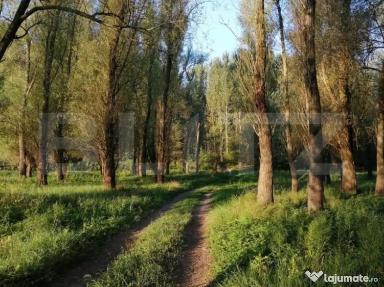 Teren, 120000mp, Insula Calinovat, Moldova Noua - 2