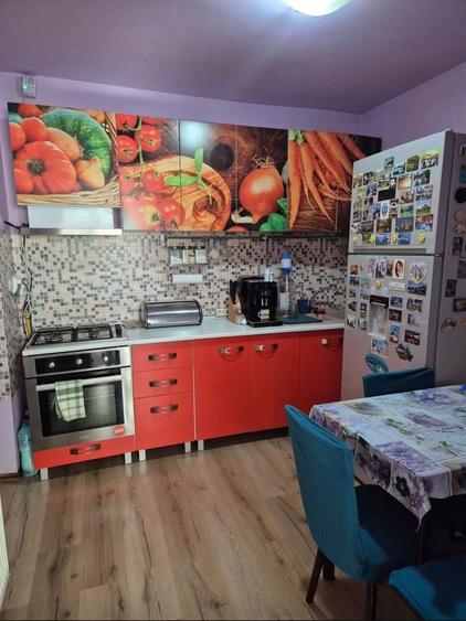 Casa in cartierul Nufarul - 5