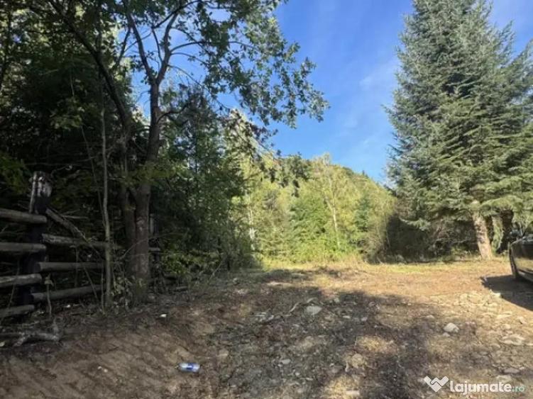 Teren , platou drept, 6000mp , Sucevita - 1