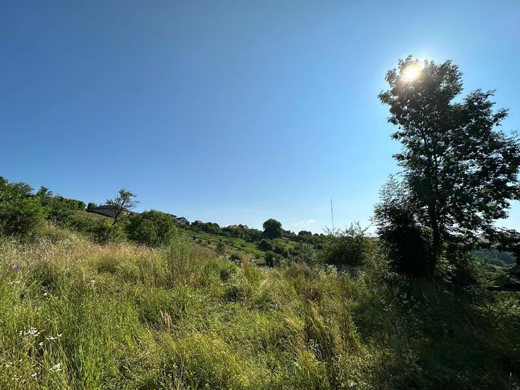 Teren de vanzare in Feleac, Intravilan - 4