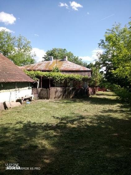 Casa de vanzare in Merii Petchii, Nuci, jud Ilfov - 5