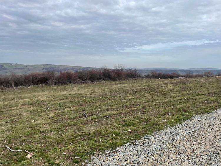 Teren intravilan parcelat Daia Noua - 5