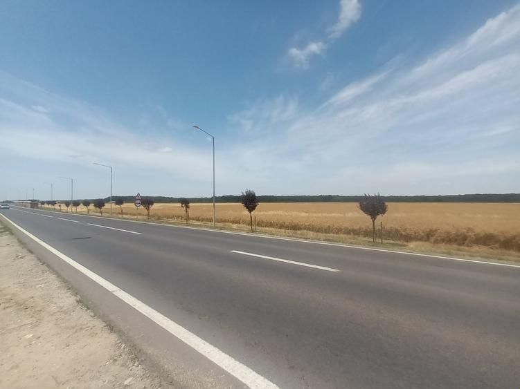 Teren Vanzare Intravilan Branesti - Investitie Zona Industriala Vis a Vis Makita - 27