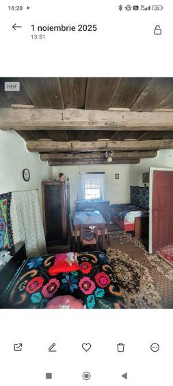 Casa saseasca autentica - 7