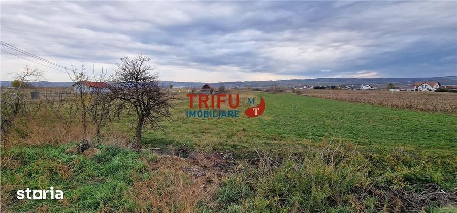 Teren de 2160 mp, în Partoș