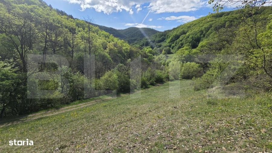 Spațiu comercial, în Pădure