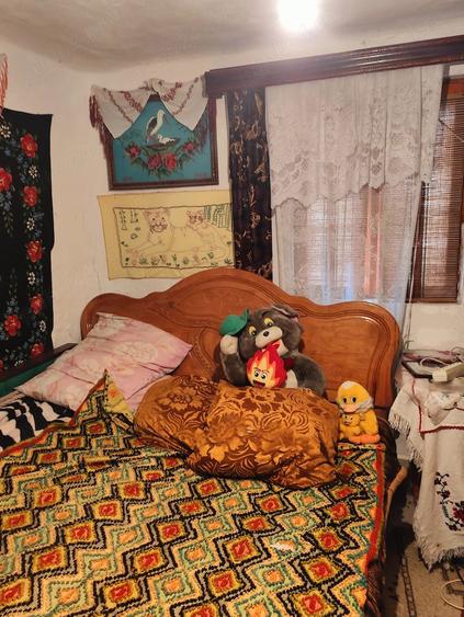 Casă cu 2 camere cu Teren 1800 Mp în Lunca