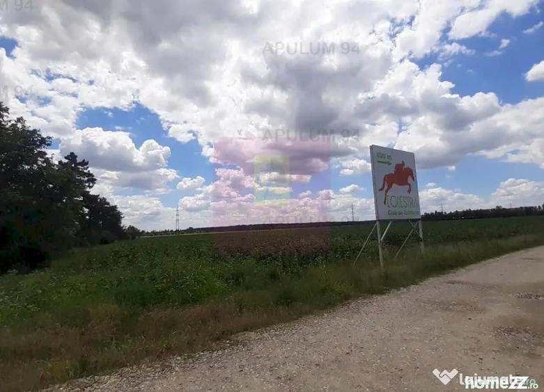 Teren 715mp in Snagov langa Equestria - 1