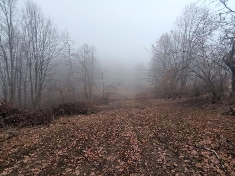 Teren intravilan de 3186 mp, în Certeju de Sus