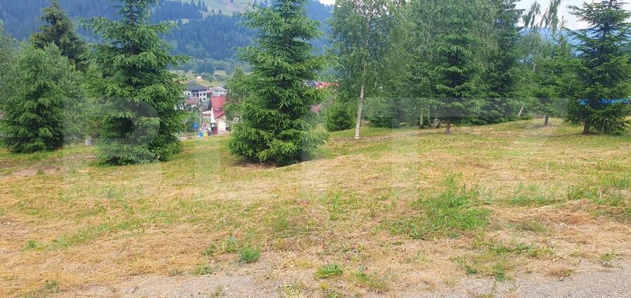 Teren Construcții intravilan de 3268 mp, în Vatra Dornei