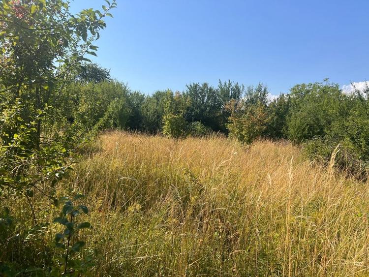 Teren cu PUZ zona strazii Macesului, ideal constructie casa - 3