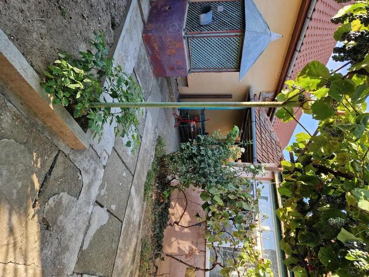 Casa de vanzare in ora?ul Deta - 5