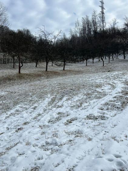 Vand teren intravilan - 4