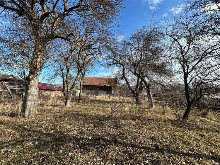 Comision 0%Casa traditionala, la 25 km de Brasov - 3
