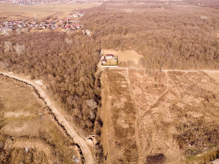 Magurele langa padurea Cornetu si Arges, teren intravilan - 8