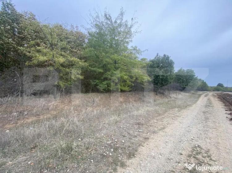 Teren partial intravilan 15000 mp, deschidere 136 m, zona Pa - 4