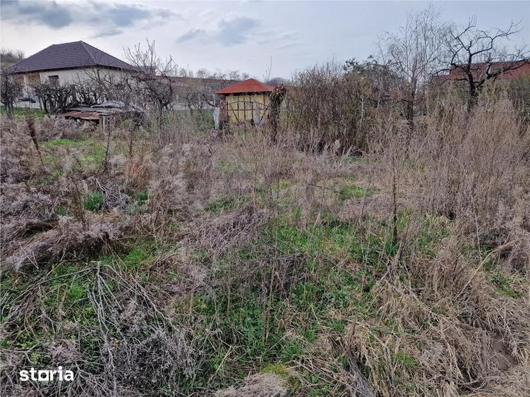 RECO Teren intravilan in Oncea, str. Prunilor - 2