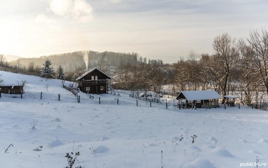 Cabana + 1,1 ha teren in Cacica | 150+ recenzii 5 stele - 1